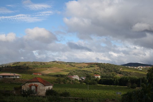 A View from Quinta da Sequeira
