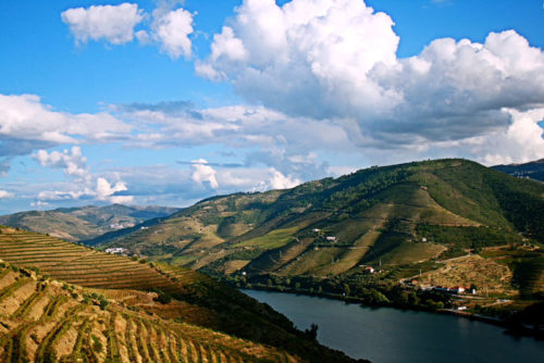 A view from the Douro Valley