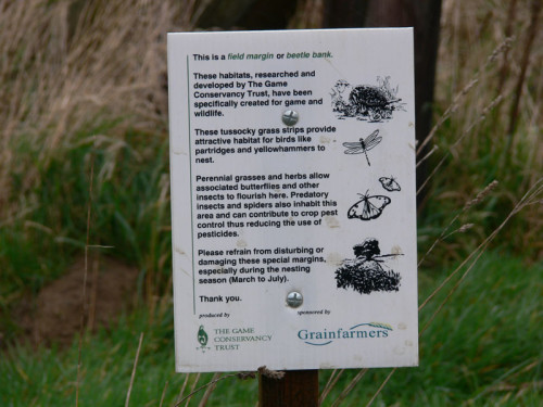 Area set aside for improved habitat for English Grey Partridge