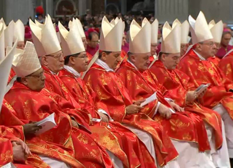 Cardinals in glorious crimson, symbolizing the blood of martyrs.