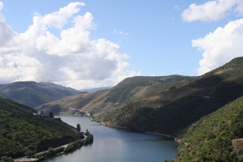 Mighty Douro River in Douro Valley