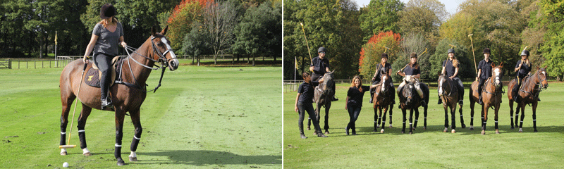 Polo on House Ground at Cowdray House
