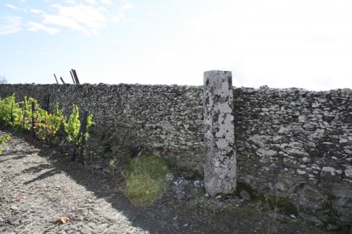 The Original Stone Pillar in Bulas Vineyard