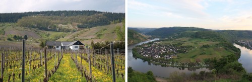 Views of Mosel Germany