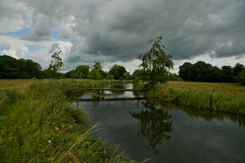 A typical stretch of chalk stream in high summer