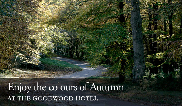 Enjoy the Colours of Autumn at the Goodwood Hotel