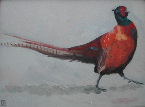 Pheasant 1