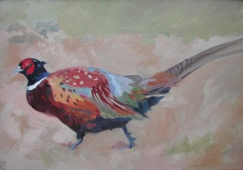 Pheasant 3