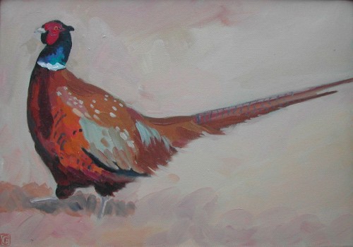 Pheasant 4
