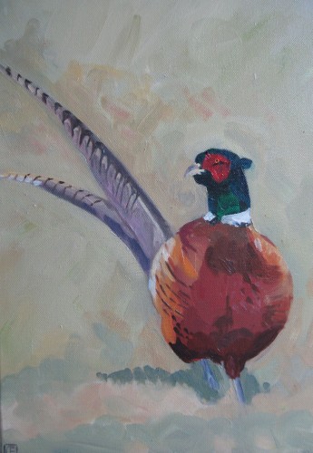 Pheasant 5