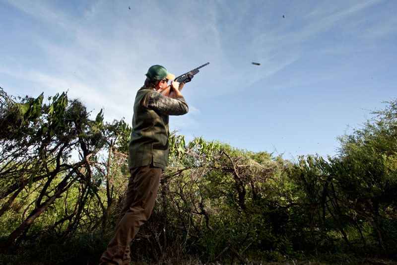 Shooting High Doves in Argentina in March